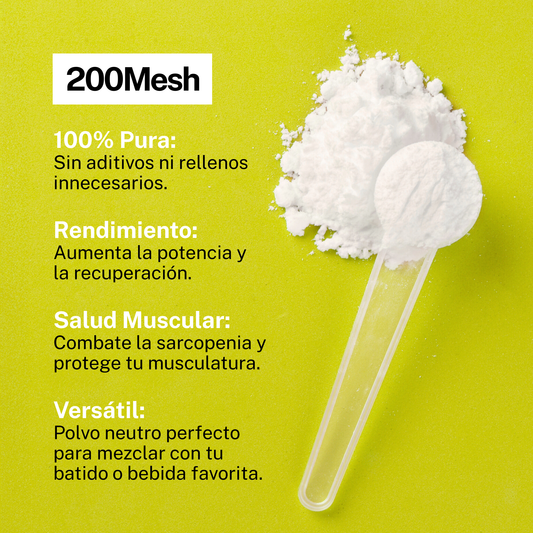 Creatina Monohidrato 100% Pura (300g) 200 Mesh