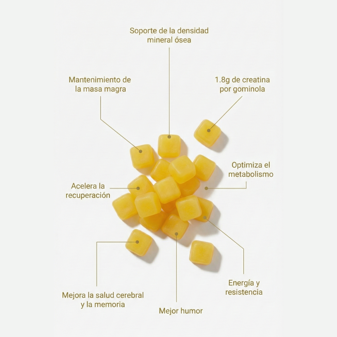 Gominolas de Creatina ATP - 1,8g porción - (600g)