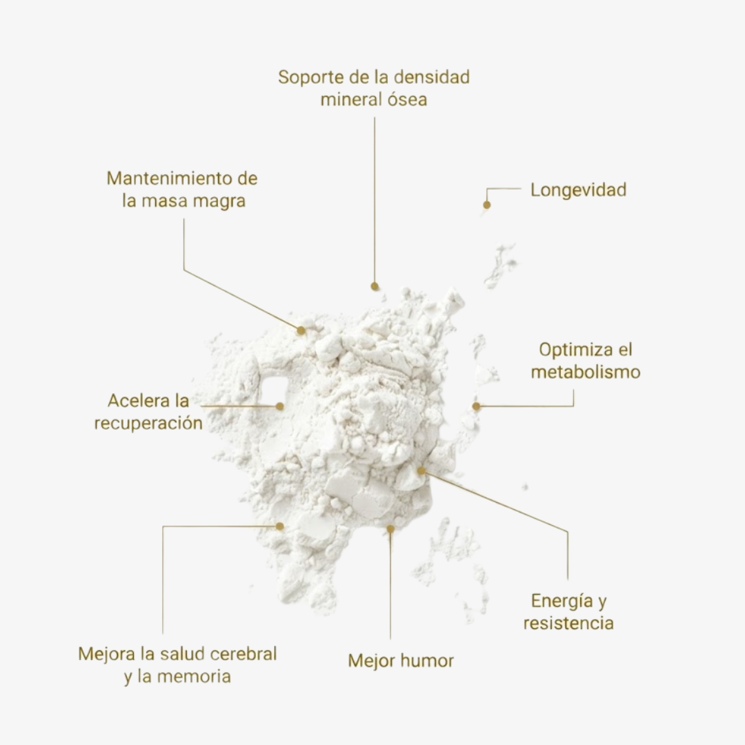 Creatina Monohidrato 100% Pura (300g) 200 Mesh